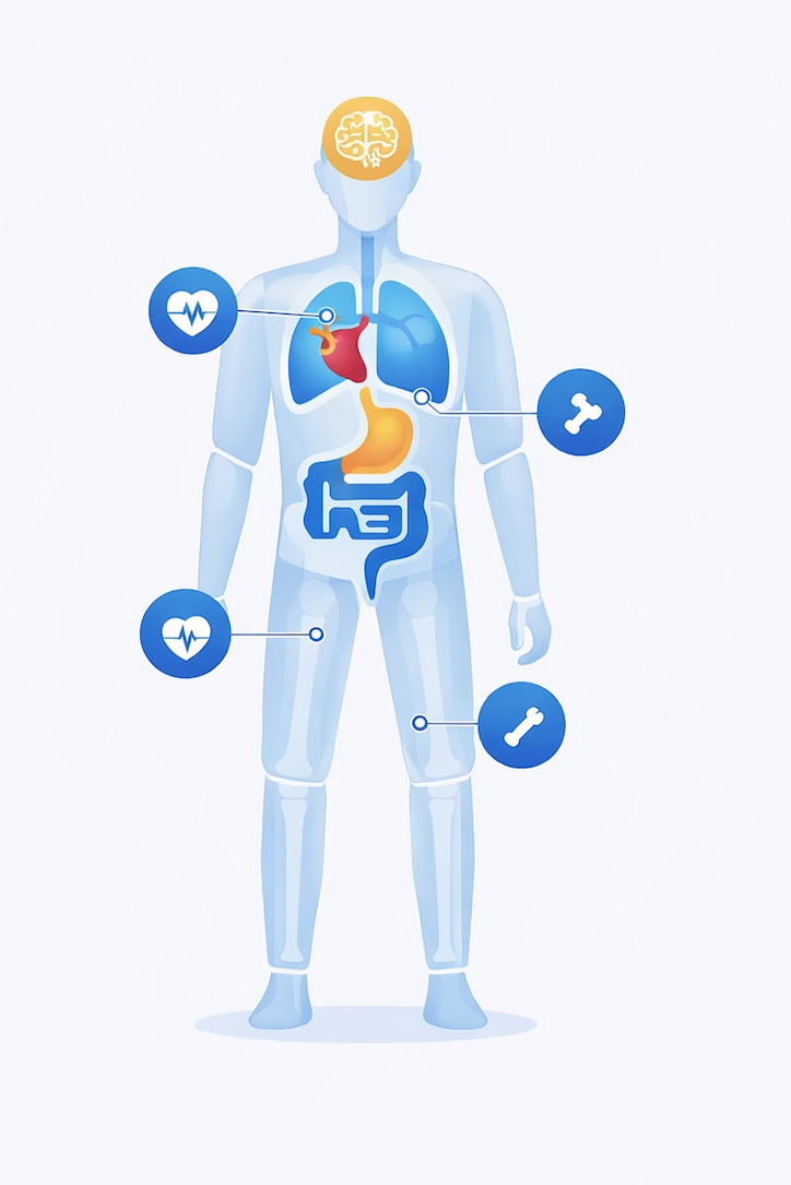 Interaktywna mapa ciała człowieka